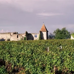 Chateau du Cros