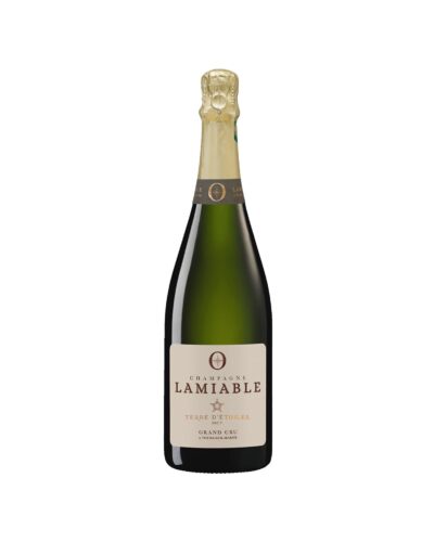 Champagne Terre D'Etoiles 37,5 cl