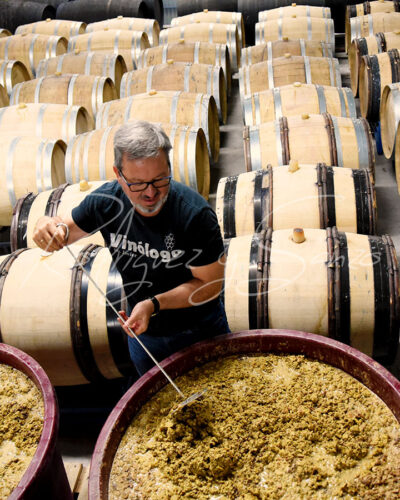 Bodegas Rodriguez Sanzo