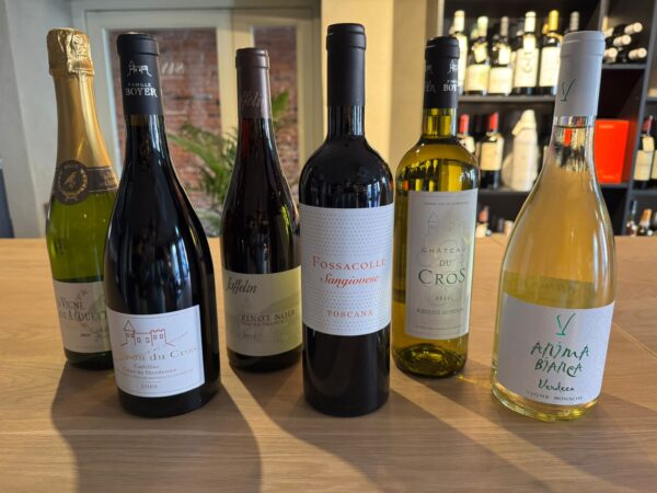 Santé suve veinikast